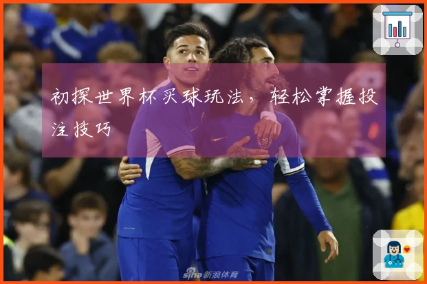 初探世界杯买球玩法，轻松掌握投注技巧