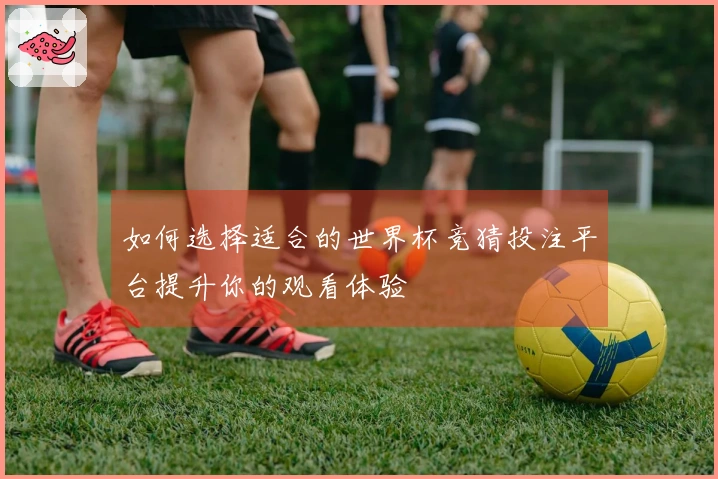 如何选择适合的世界杯竞猜投注平台提升你的观看体验