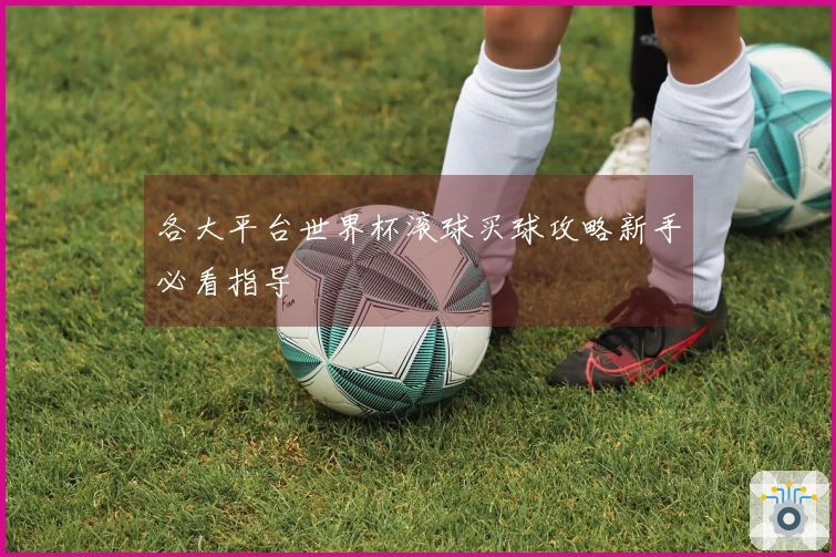 各大平台世界杯滚球买球攻略新手必看指导