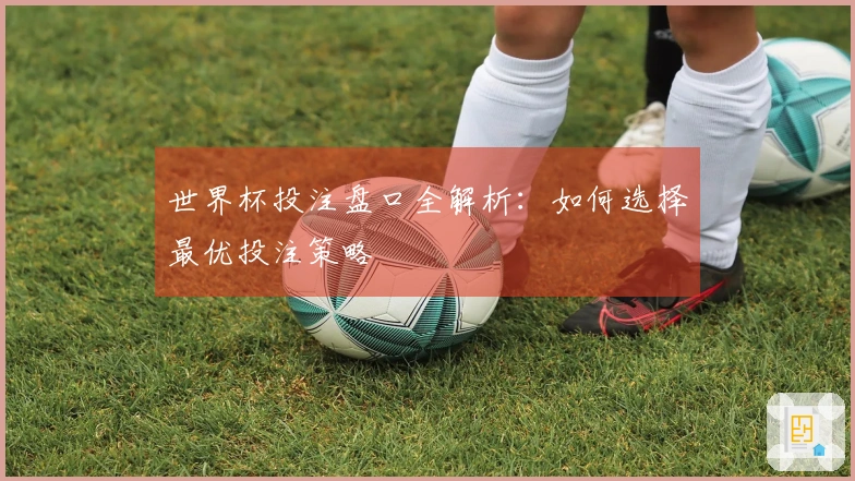 世界杯投注盘口全解析：如何选择最优投注策略