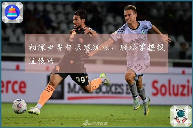 初探世界杯买球玩法，轻松掌握投注技巧