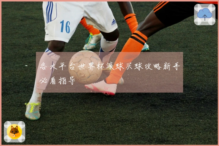 各大平台世界杯滚球买球攻略新手必看指导