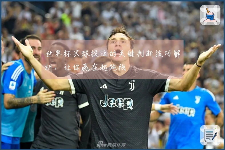 世界杯买球投注的关键判断技巧解析，让你赢在起跑线