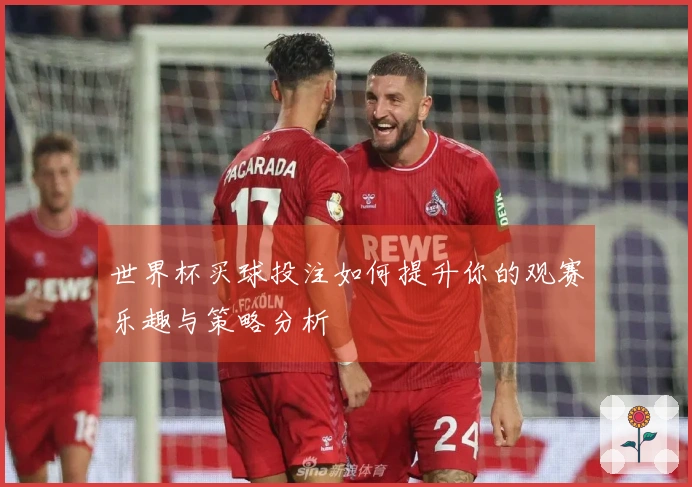 世界杯买球投注如何提升你的观赛乐趣与策略分析