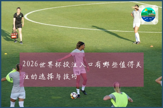 2026世界杯投注入口有哪些值得关注的选择与技巧