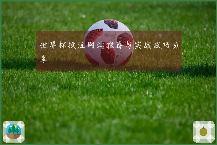 世界杯投注网站推荐与实战技巧分享