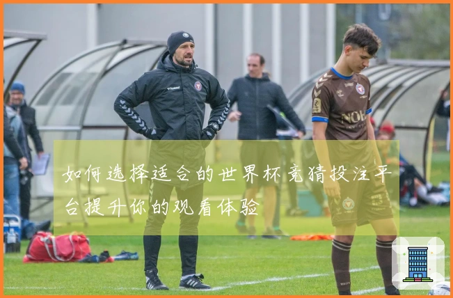 如何选择适合的世界杯竞猜投注平台提升你的观看体验