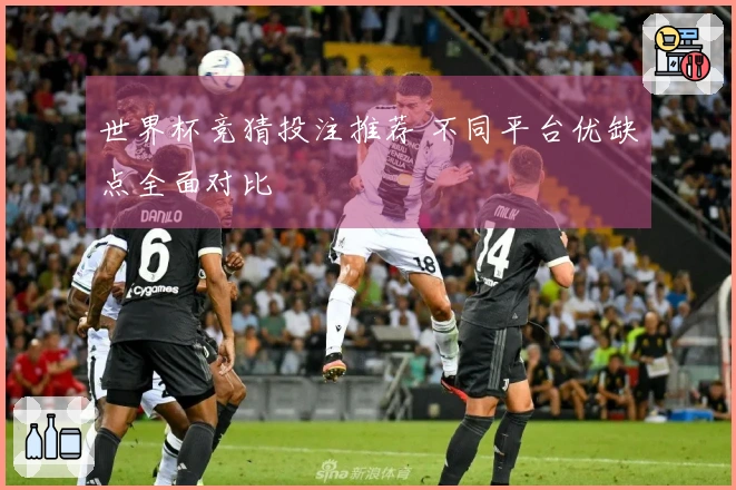 世界杯竞猜投注推荐 不同平台优缺点全面对比