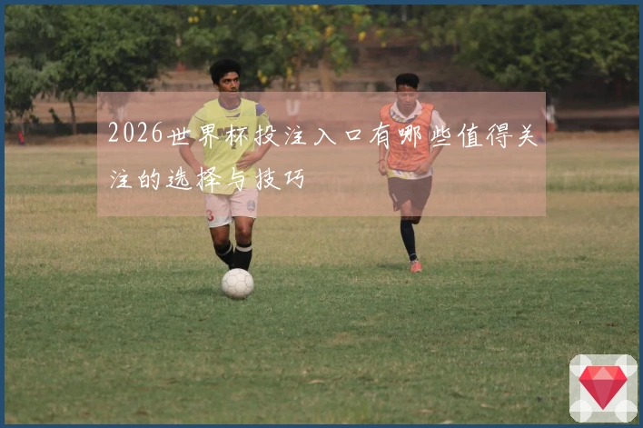 2026世界杯投注入口有哪些值得关注的选择与技巧